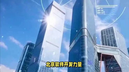 北京优质软件开发公司推荐