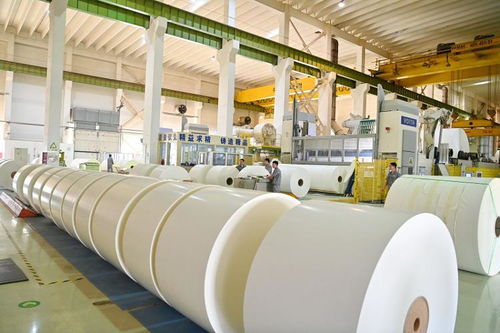 造纸业转型中迎来增长 山东上市公司盈利能力提升观察